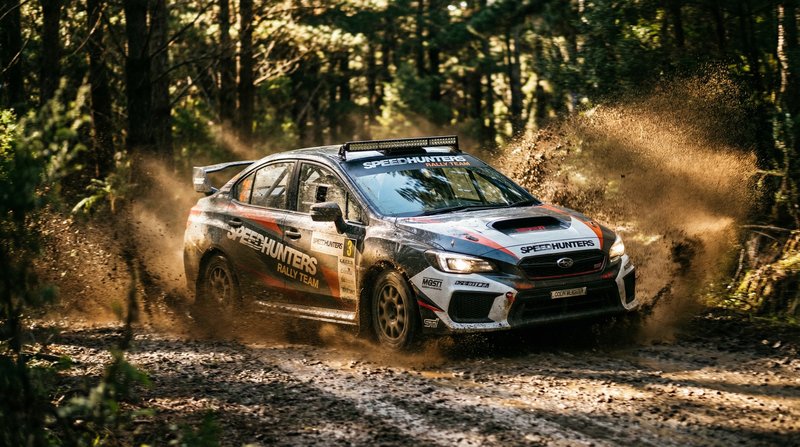 免费看片拉力赛车视频